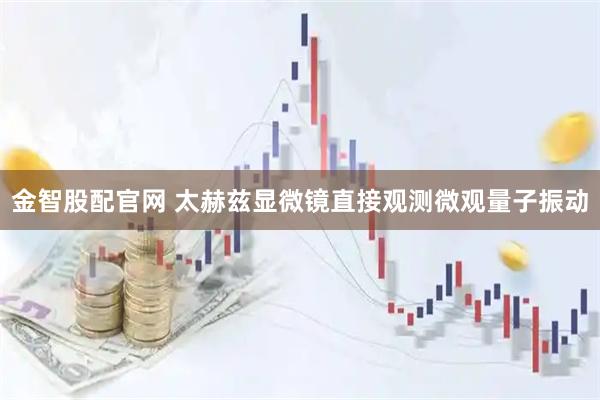 金智股配官网 太赫兹显微镜直接观测微观量子振动